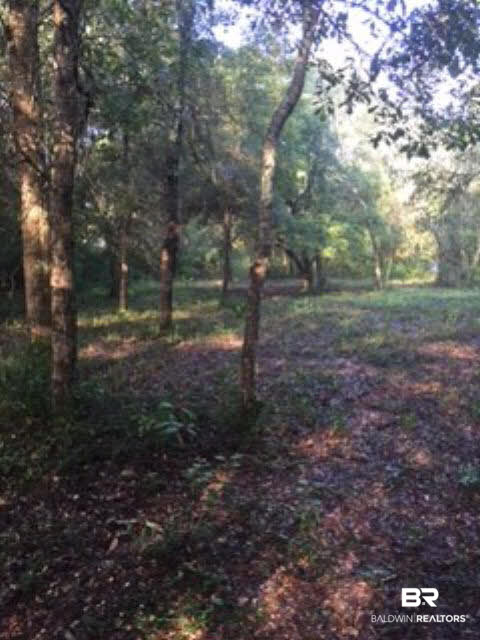 0 Wayburn Road Seminole, AL 36574 - Photo 3 of 8