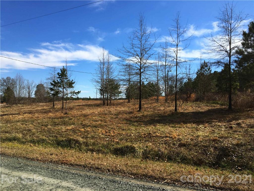 251 Plaxco Road York, SC 29745 - Photo 4 of 7