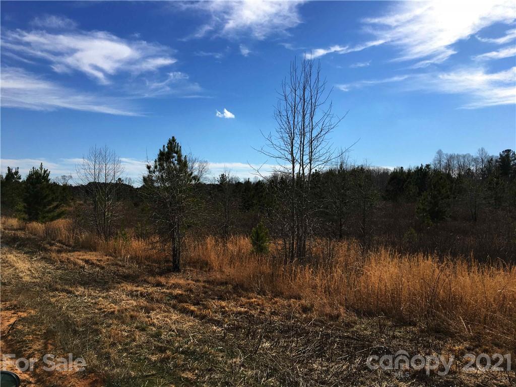 251 Plaxco Road York, SC 29745 - Photo 6 of 7