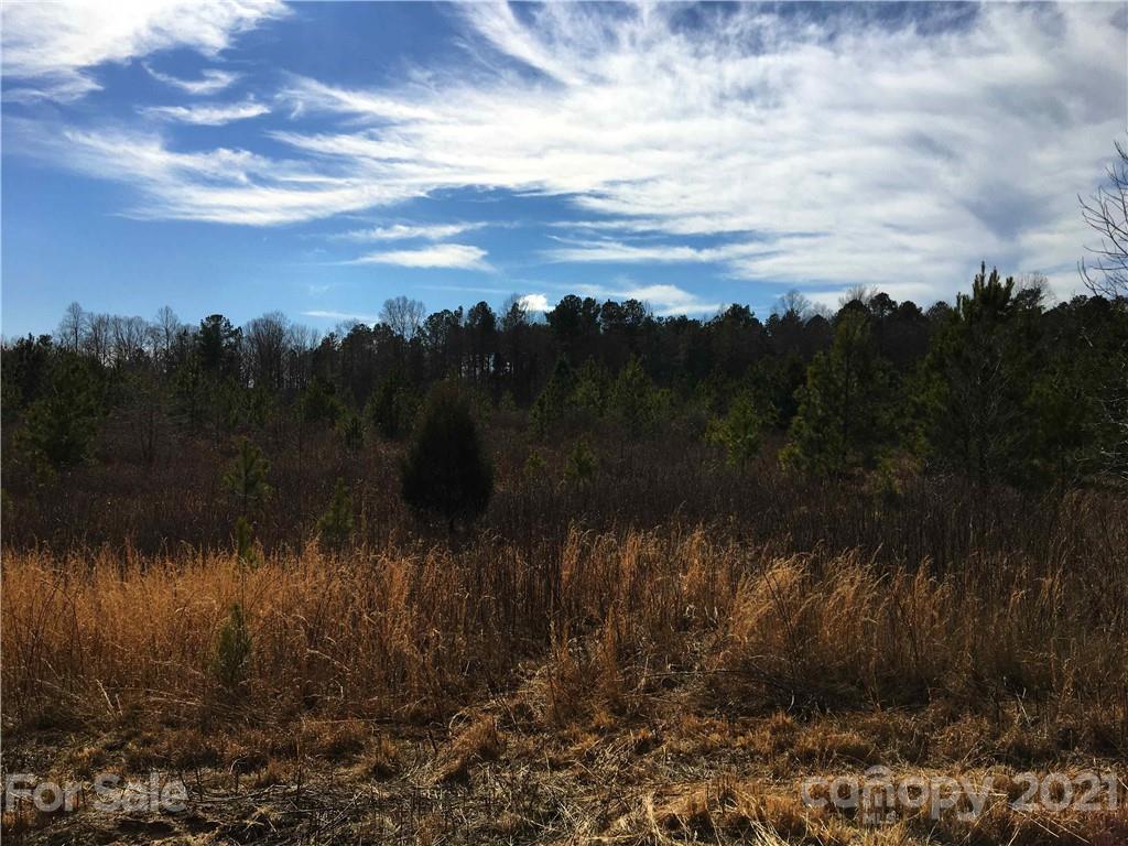 251 Plaxco Road York, SC 29745 - Photo 7 of 7