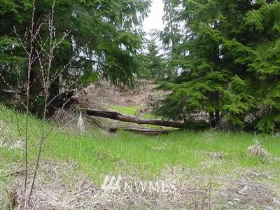 10-lot Old Barn Road Randle, WA 98377 - Photo 1 of 1 Gallery Image 1