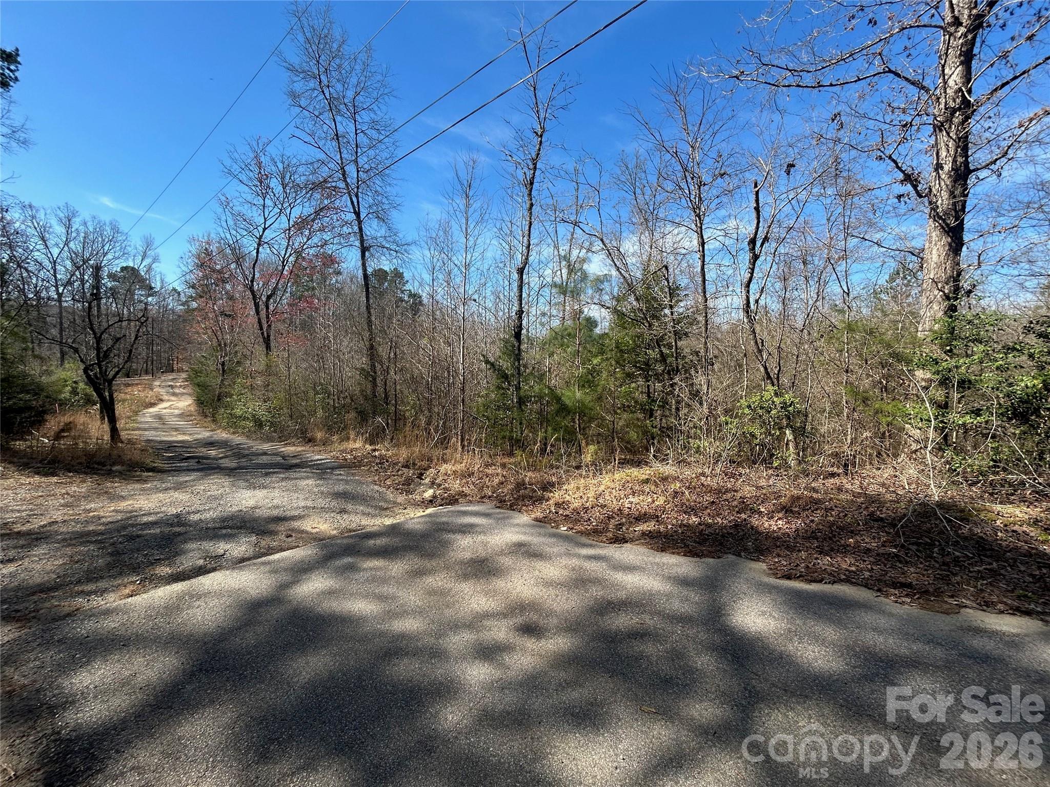 Tbd Green Pond Road Indian Land, SC 29707 - Photo 16 of 24