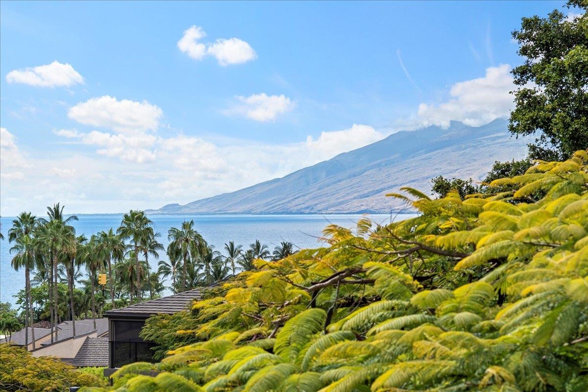 3600 Wailea Alanui Drive, Unit 2102 Kihei, HI 96753 - Photo 40 of 50