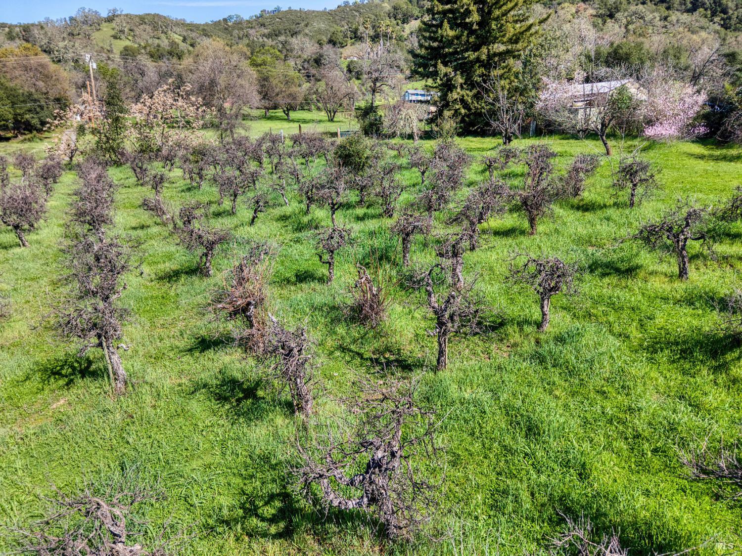 2981-3001 Guidiville Reservation Road Ukiah, CA 95482 - Photo 28 of 32