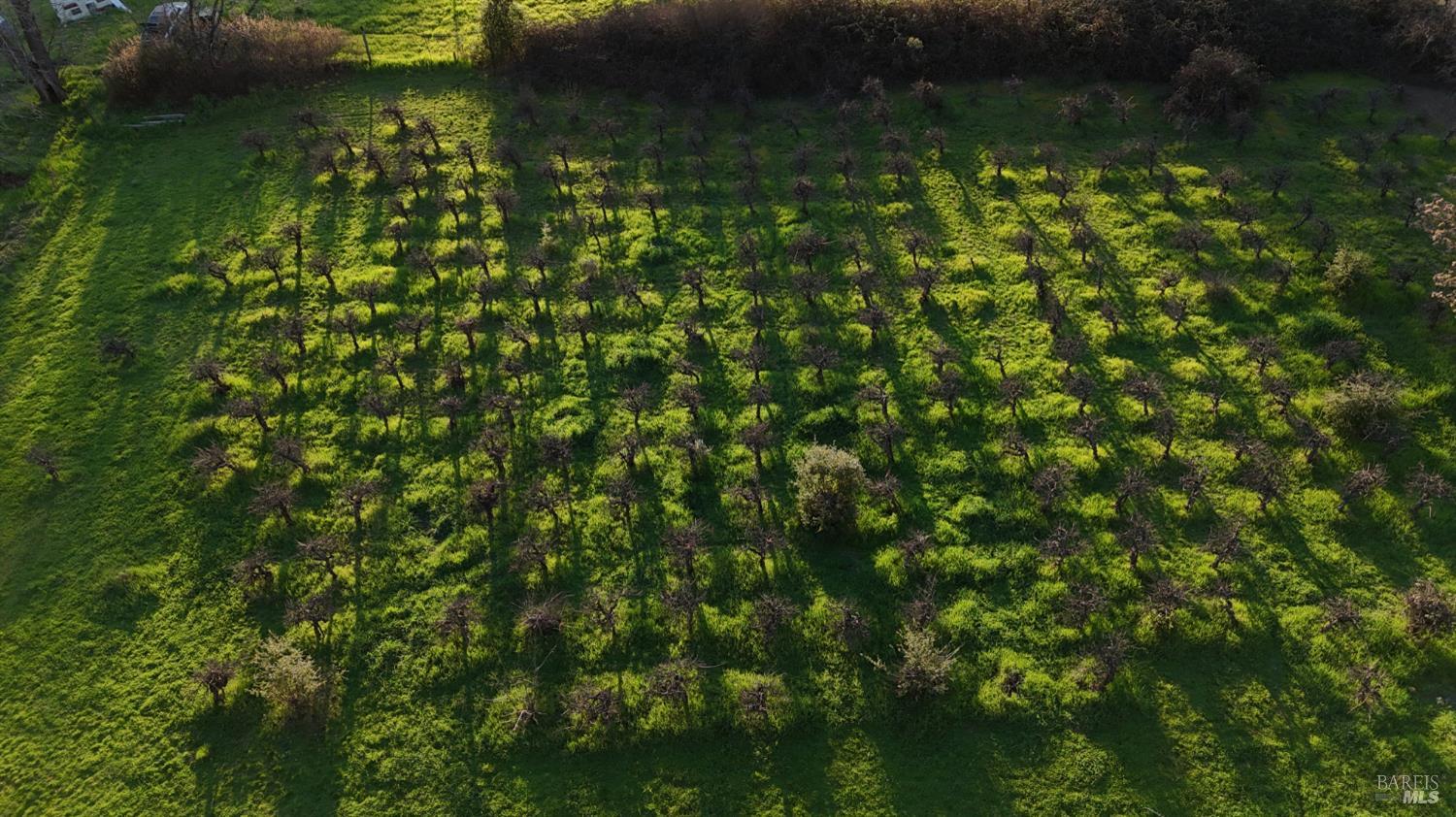 2981-3001 Guidiville Reservation Road Ukiah, CA 95482 - Photo 31 of 32