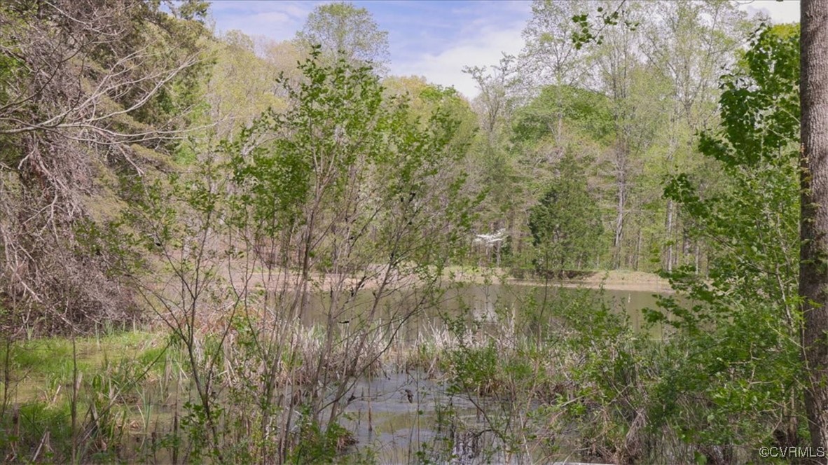 1320 West River Road Crozier, VA 23039 - Photo 41 of 42 Gallery Image 41