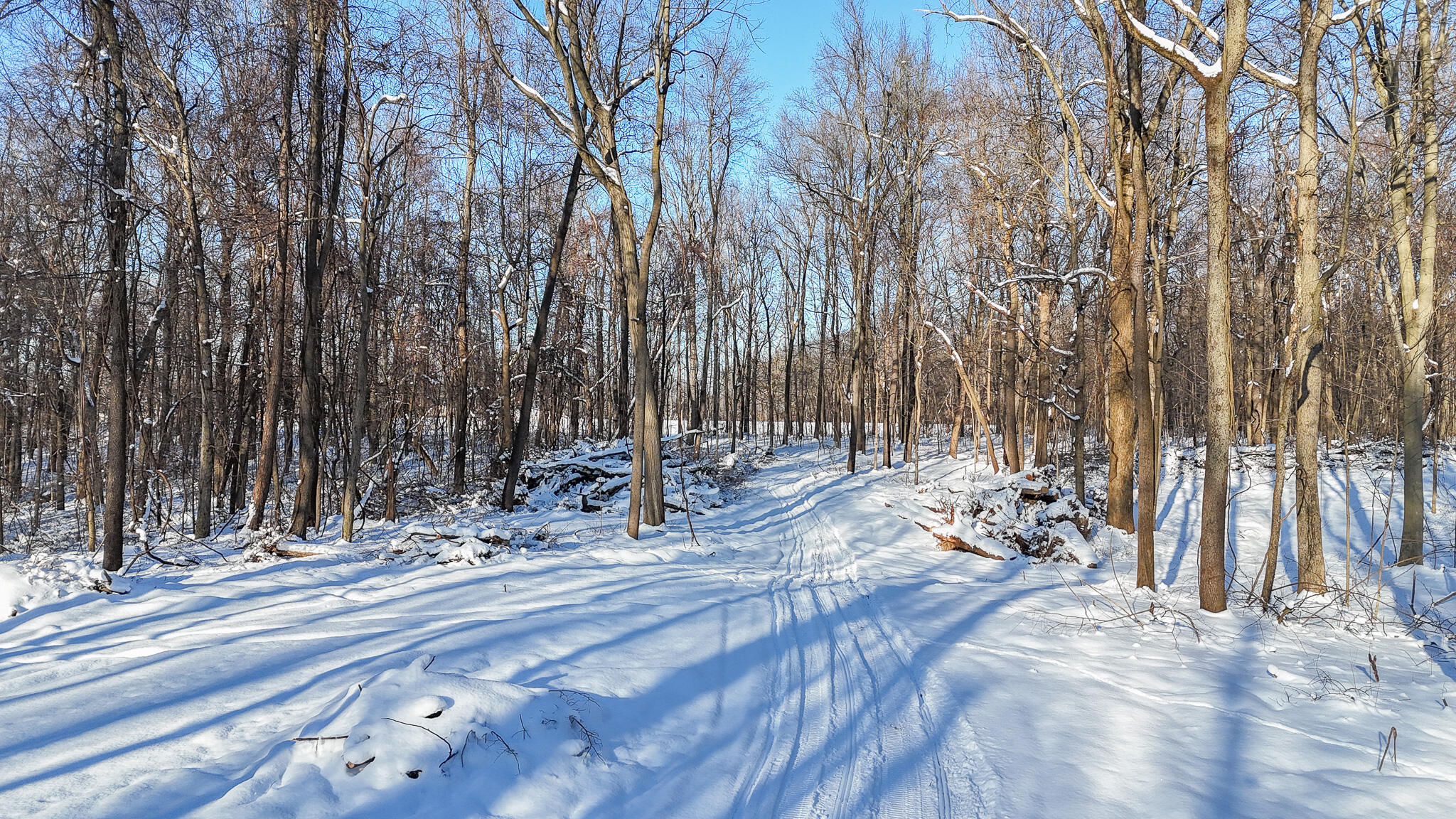 6 Forest Road Dowagiac, MI 49047 - Photo 8 of 15 CABLE LAKE
