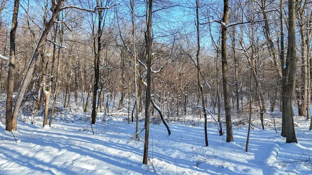 $265,000 | 6 Forest Road, Dowagiac, MI 49047