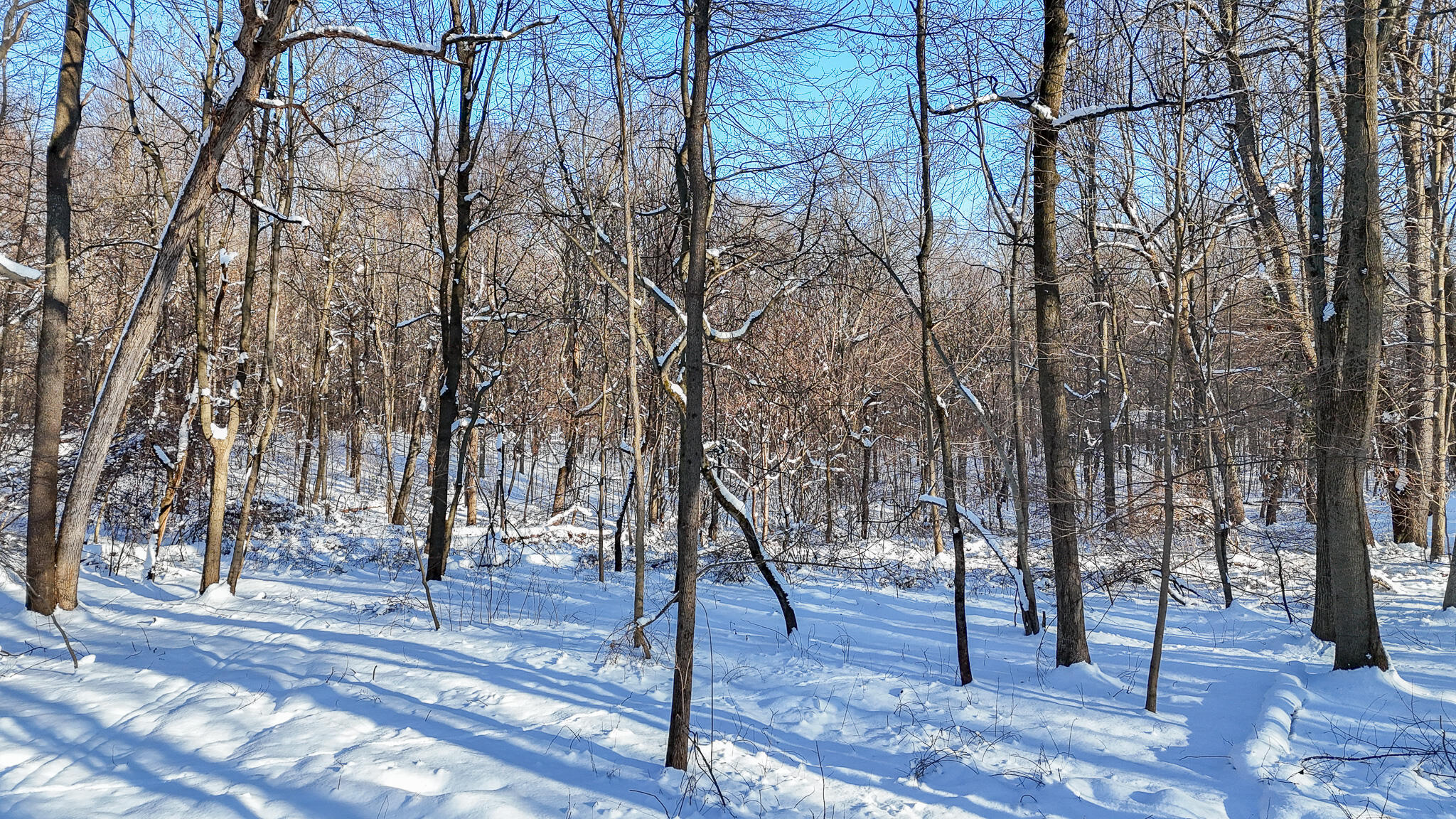 6 Forest Road Dowagiac, MI 49047 - Photo 10 of 15 CABLE LAKE