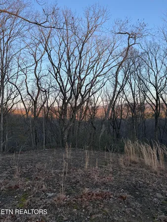 $58,000 | Hunter Hills Drive, Oneida, TN 37841