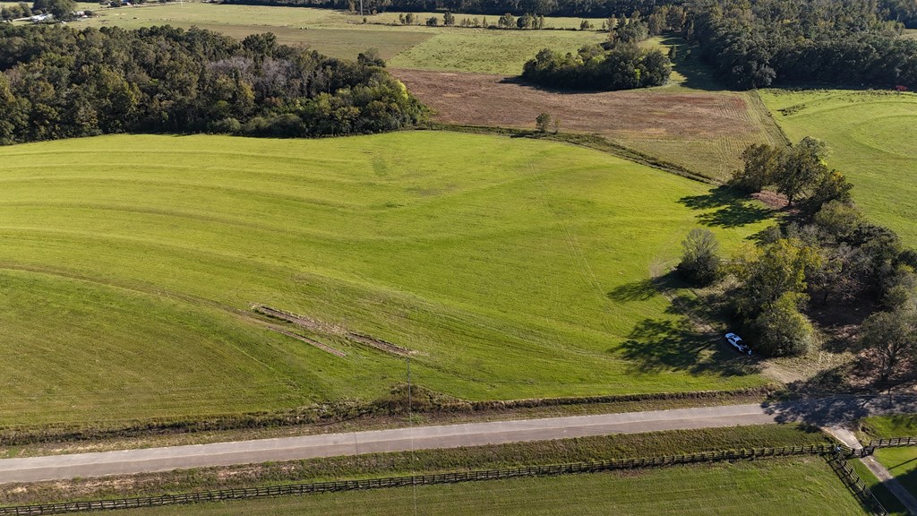 Lot 2 Battles Road Dothan, AL 36301 - Photo 3 of 4