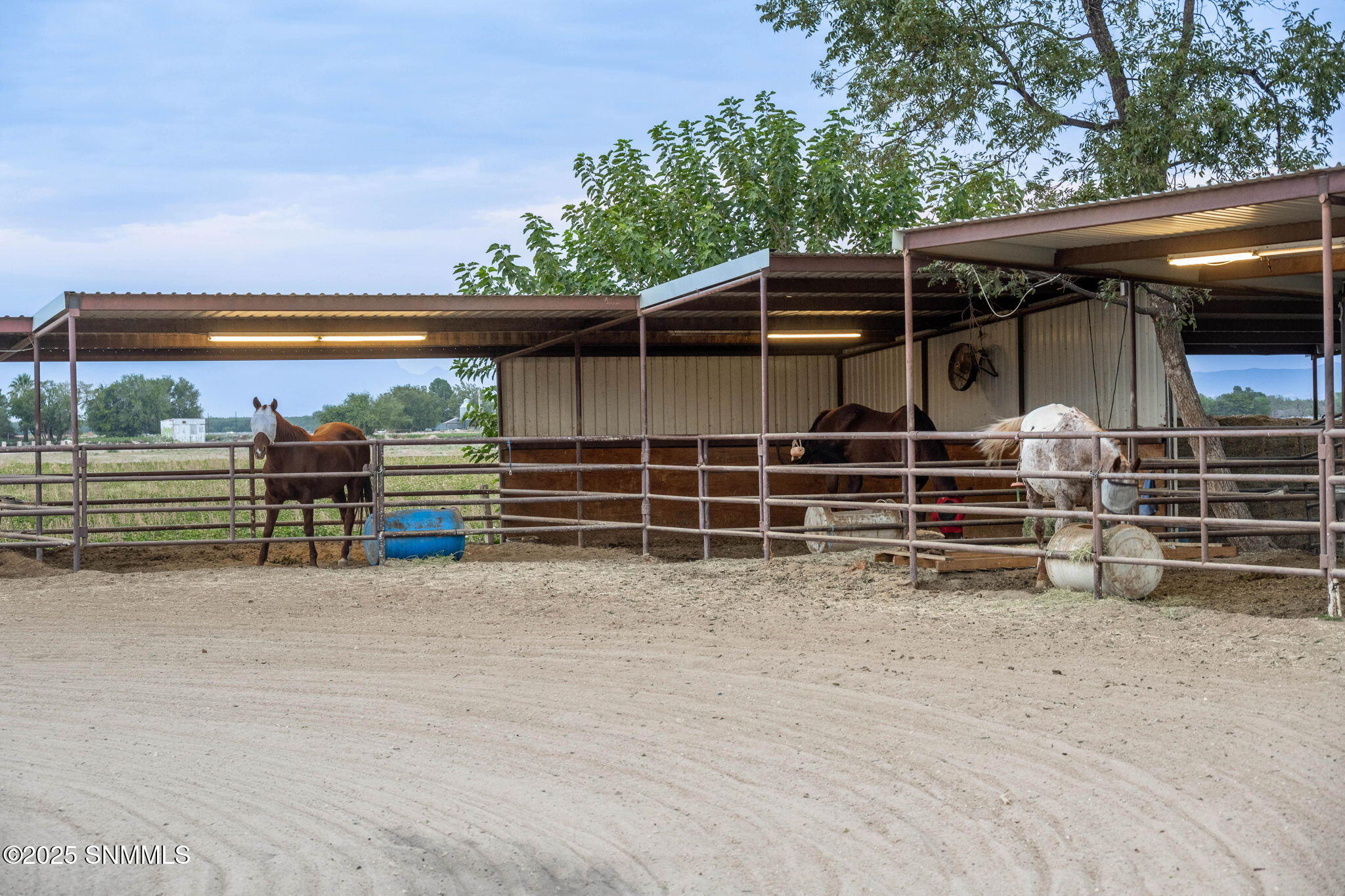 7003 McNutt Road Anthony, NM 88021 - Photo 67 of 89 114-web-or-mls-McNutt 7003-114