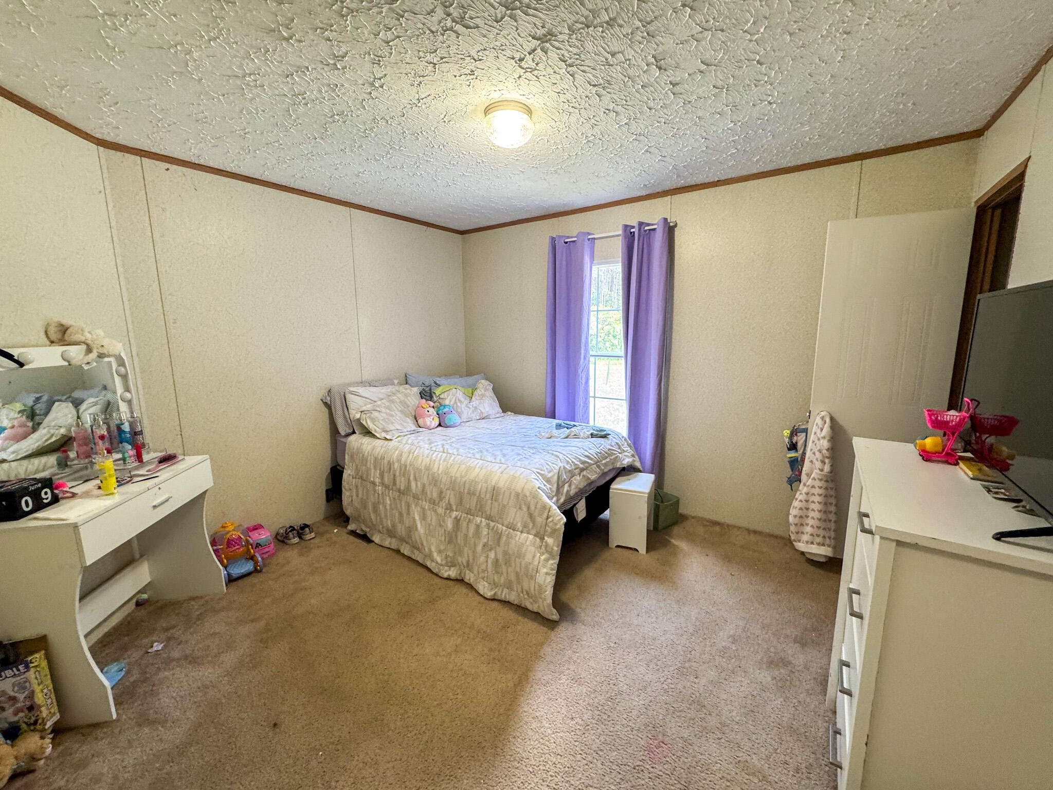 4474 Ruffin Road Walterboro, SC 29488 - Photo 13 of 18