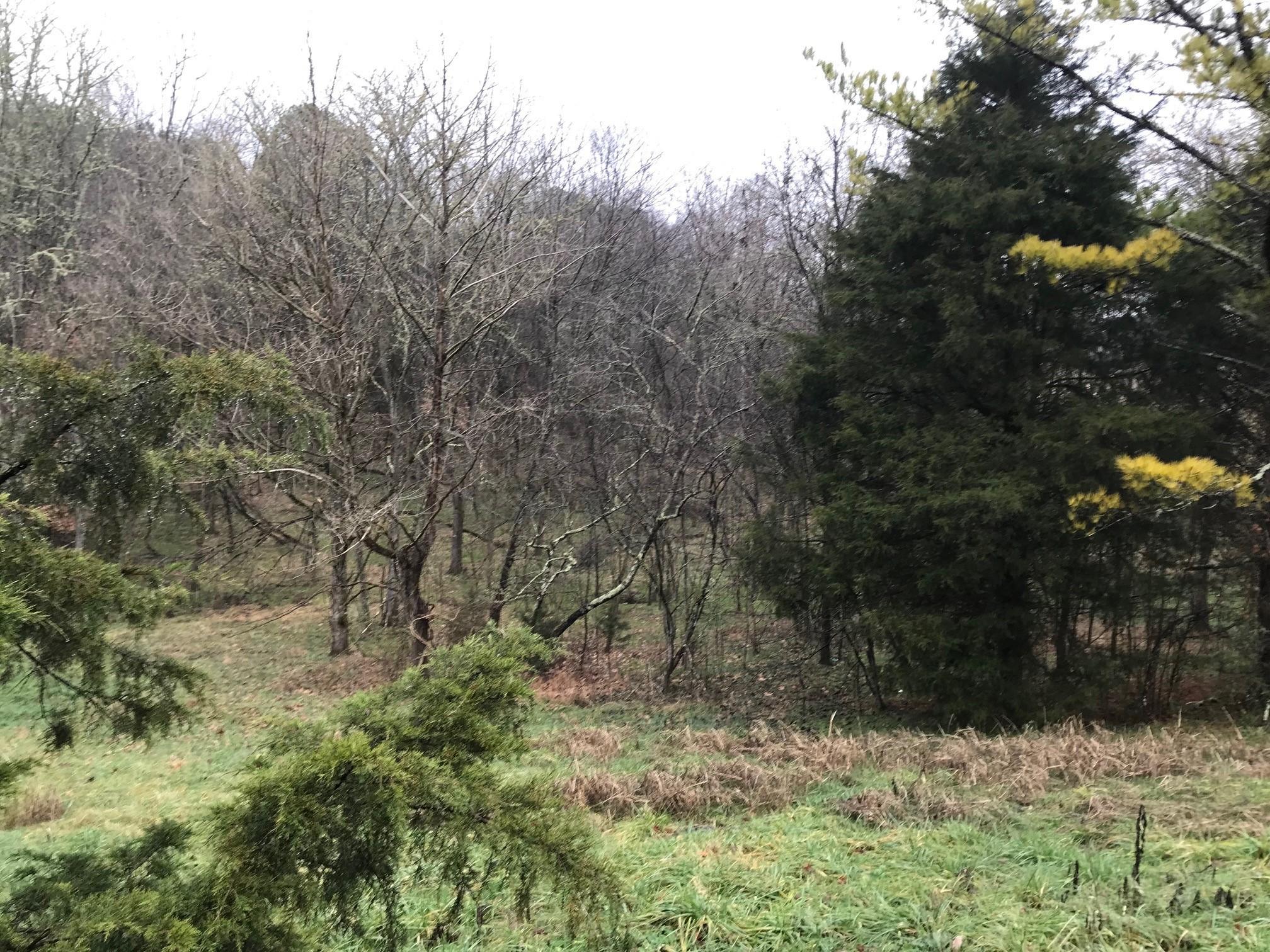 Hodges Ferry Road Kodak, TN 37764 - Photo 5 of 5 Lot 20 Hodges Ferry 5