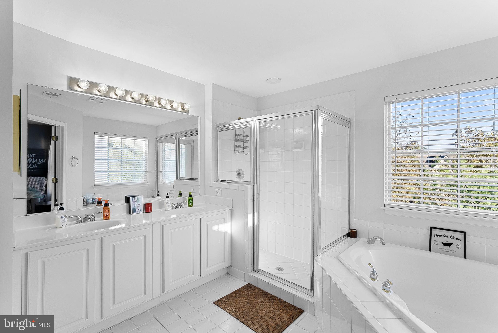 43189 Riders Square Broadlands, VA 20148 - Photo 22 of 67 Primary Bathroom