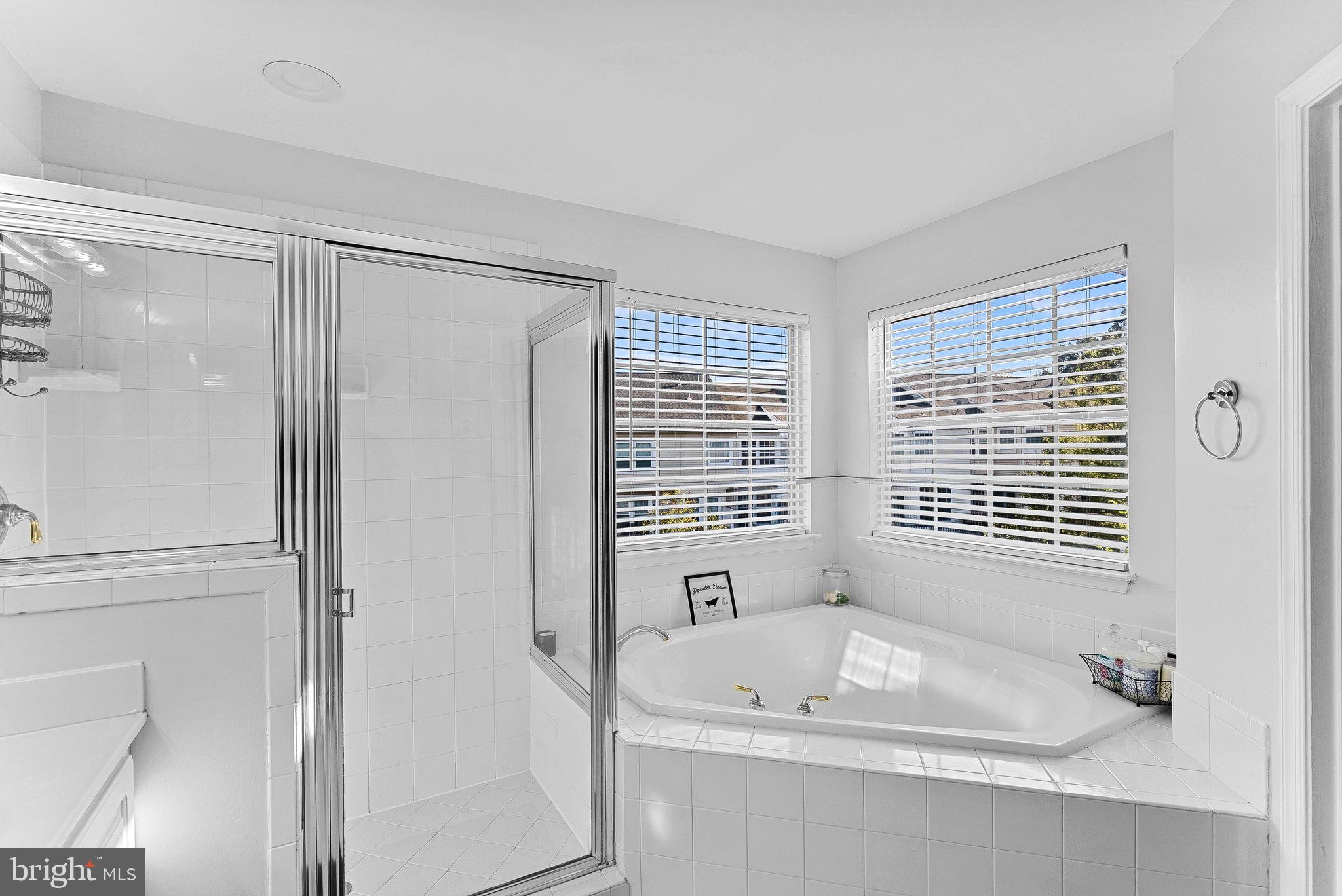 43189 Riders Square Broadlands, VA 20148 - Photo 26 of 67 Soaking Tub