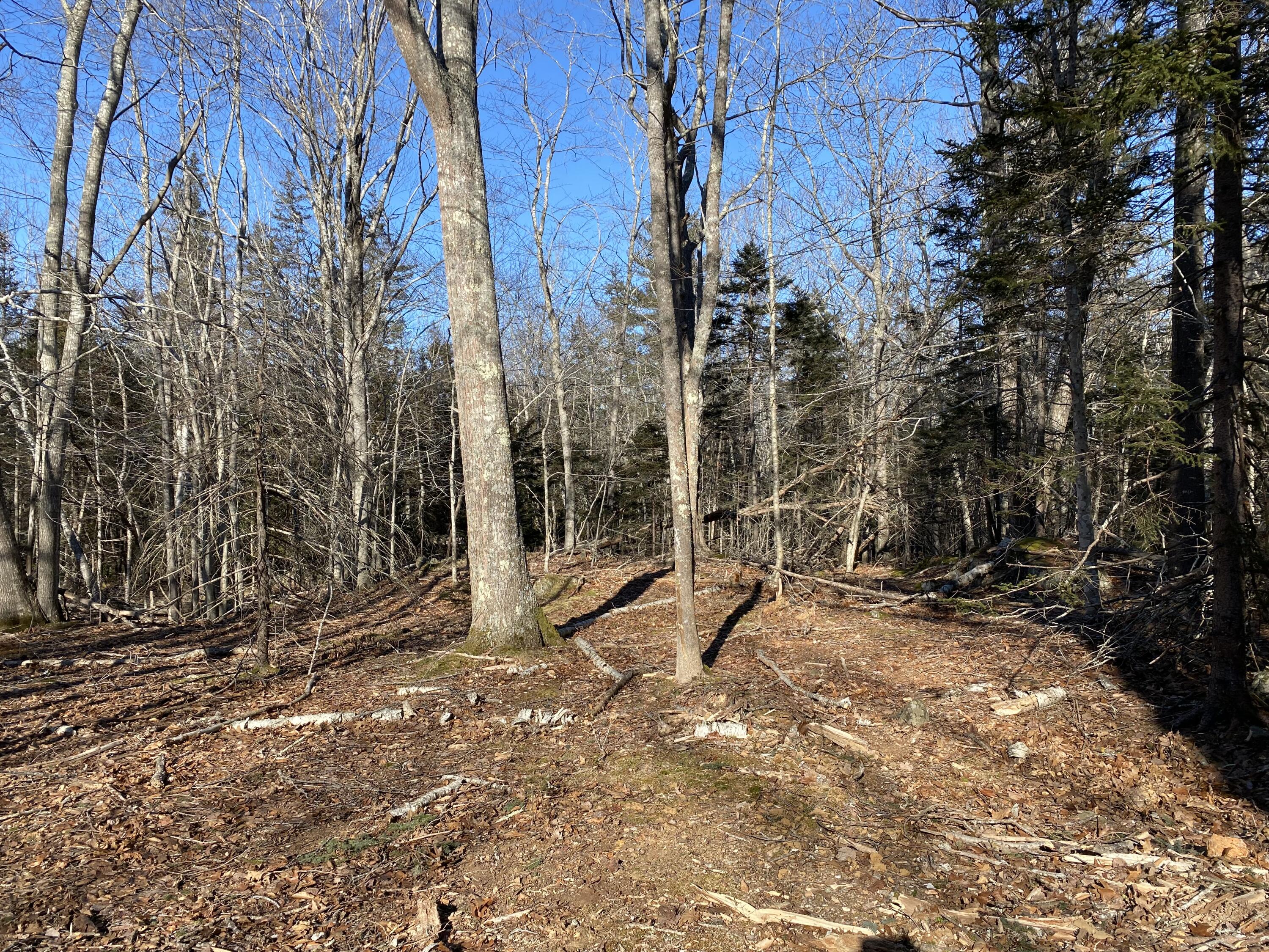 0 West Bay Road Islesboro, ME 04848 - Photo 57 of 60 IMG_4410
