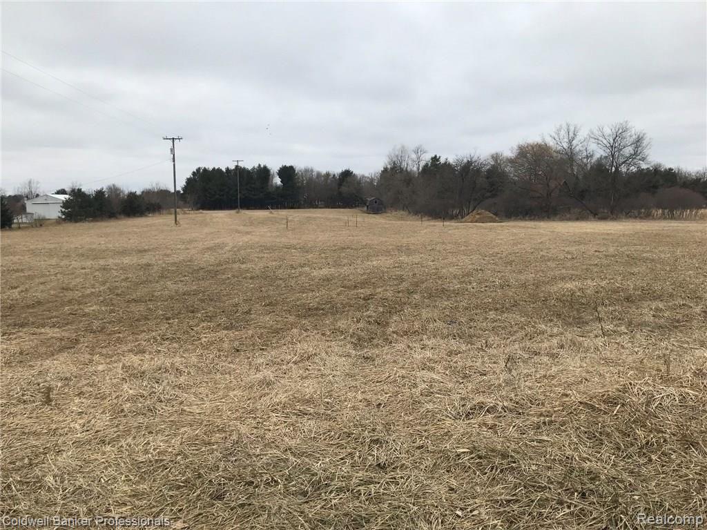 0 Hayden Road Attica, MI 48412 - Photo 4 of 7