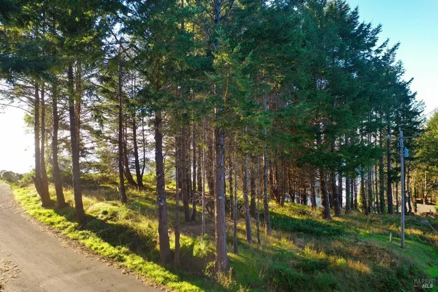 $85,000 | 19 Seaview Point, Whitethorn, CA 95589