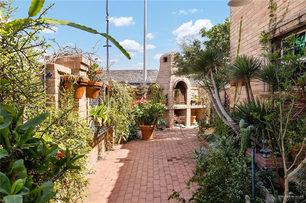 301 Vermont Avenue McAllen, TX 78503 - Photo 17 of 25 a view of a potted plants on a patio