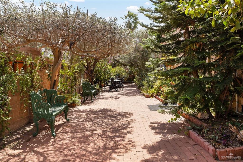301 Vermont Avenue McAllen, TX 78503 - Photo 19 of 25 a view of a yard with plants and trees