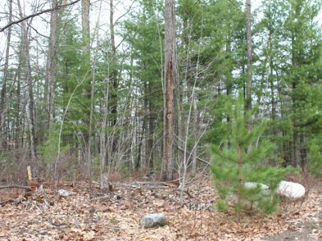 7048 North Bluebird Road Lake Tomahawk, WI 54539 - Photo 8 of 16 Gallery Image 8