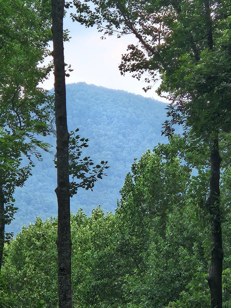 M212 East Walnut Ridge Ellijay, GA 30536 - Photo 2 of 12