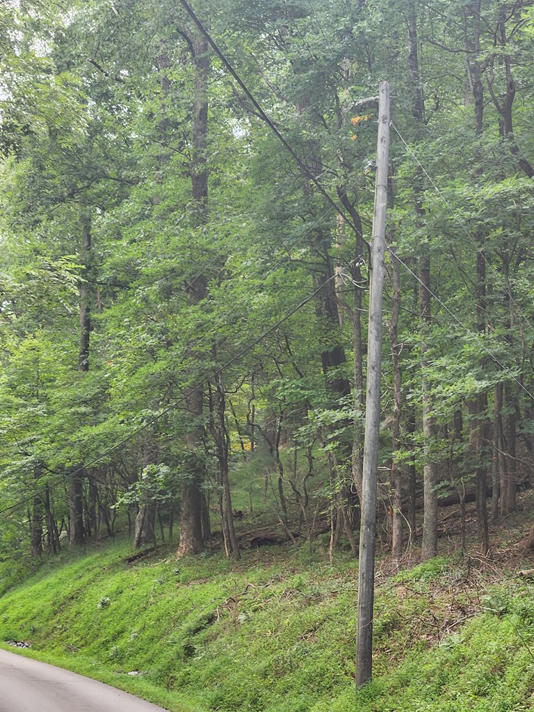 M212 East Walnut Ridge Ellijay, GA 30536 - Photo 3 of 12