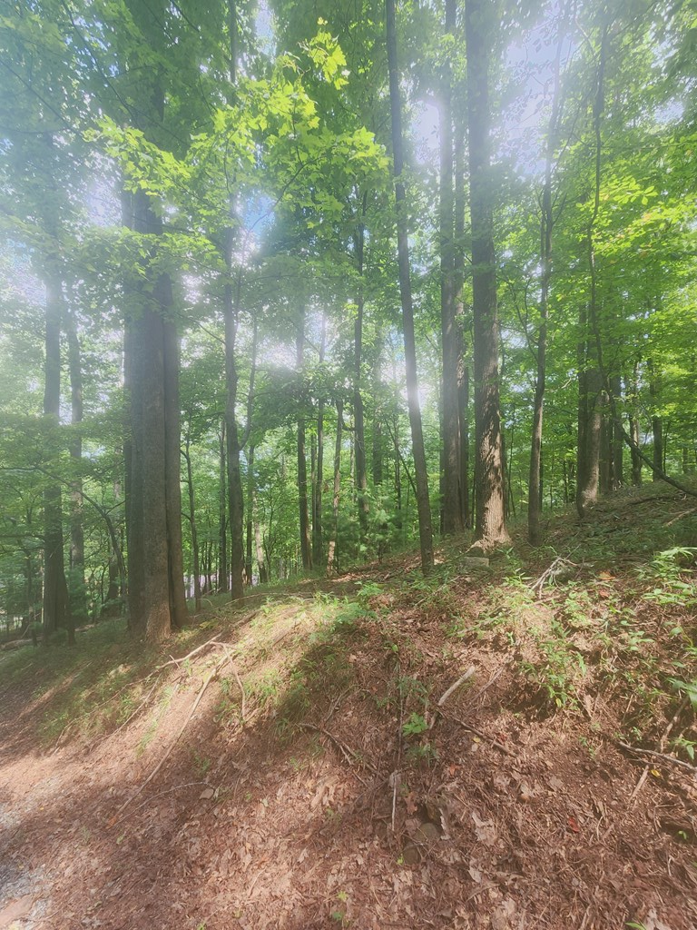 M212 East Walnut Ridge Ellijay, GA 30536 - Photo 5 of 12