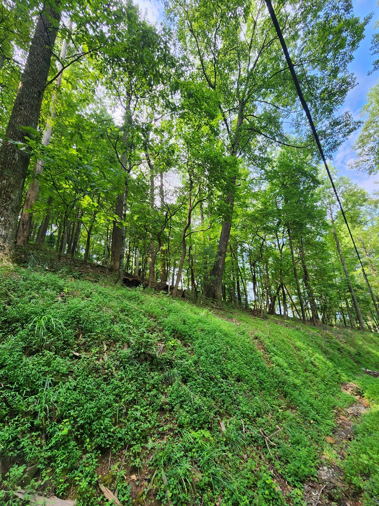 M212 East Walnut Ridge Ellijay, GA 30536 - Photo 6 of 12