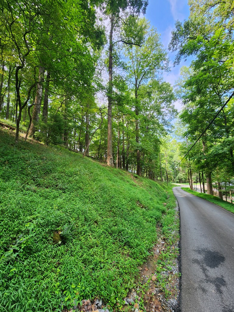 M212 East Walnut Ridge Ellijay, GA 30536 - Photo 7 of 12