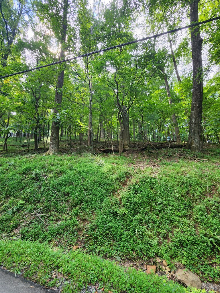 M212 East Walnut Ridge Ellijay, GA 30536 - Photo 8 of 12