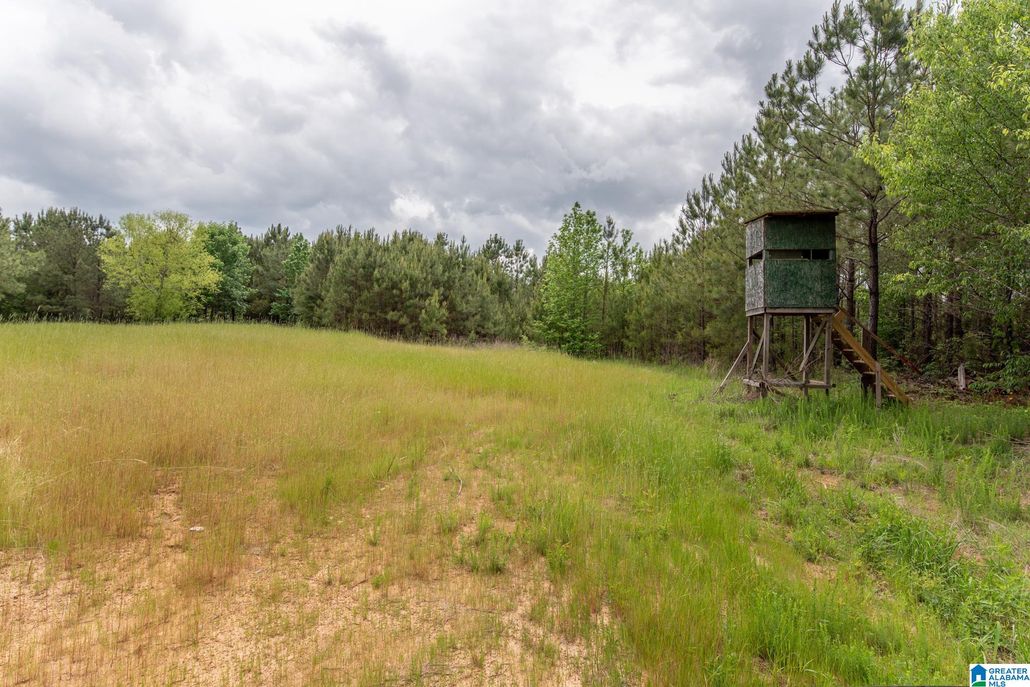 12680 Groundhog Road, Unit 1 Adger, AL 35006 - Photo 26 of 28