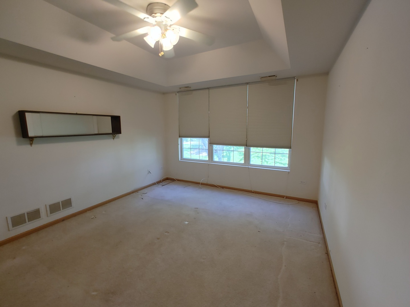 13528 Delaney Road Huntley, IL 60142 - Photo 12 of 25 an empty room with a window and ceiling fan