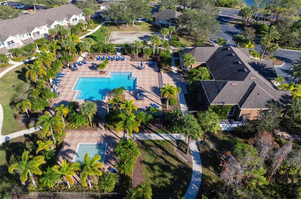8933 Manor Loop, Unit 102 Lakewood Ranch, FL 34202 - Photo 67 of 68 Community Pool