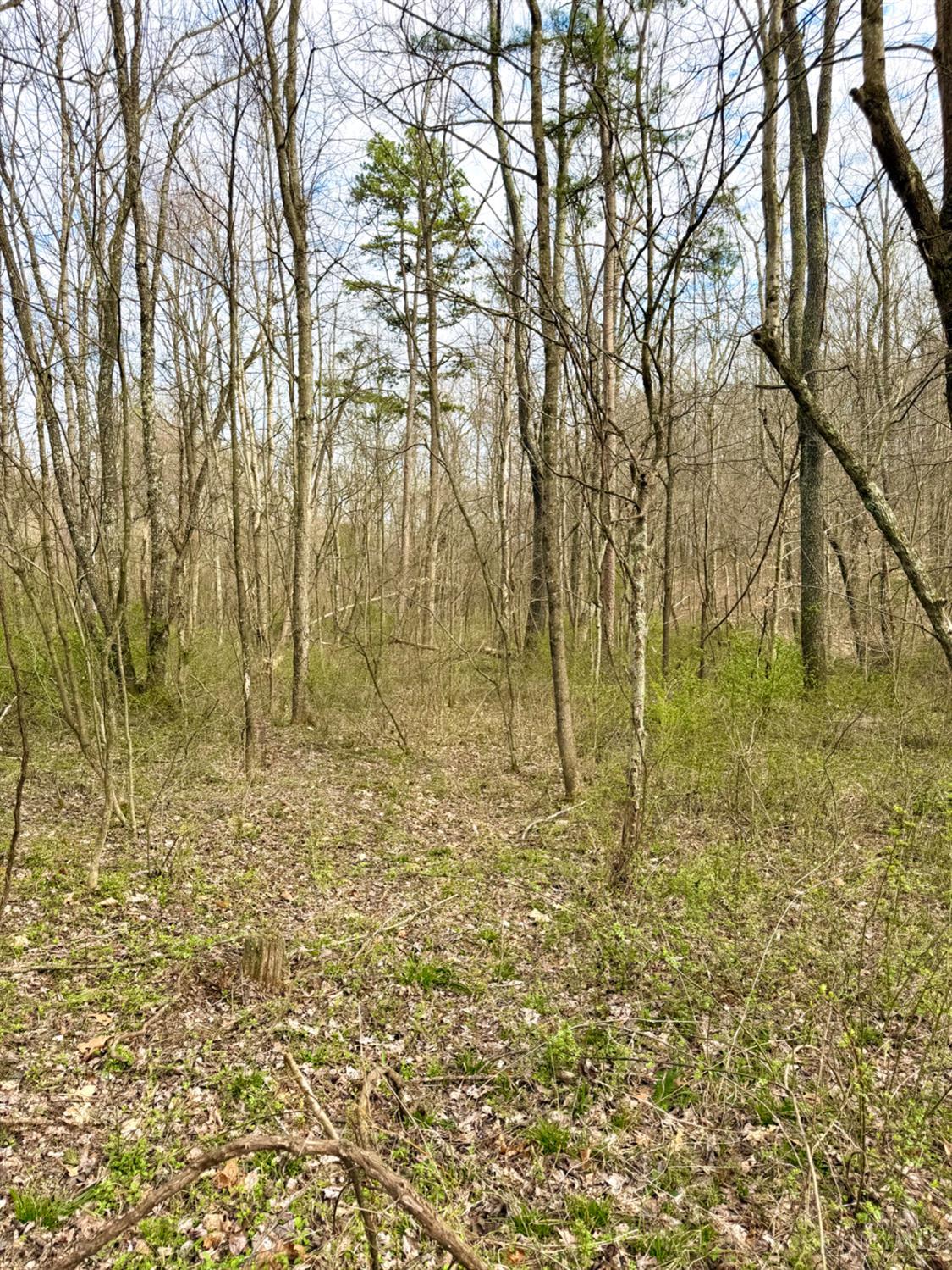 0 Fyffe Hollow Road Chillicothe, OH 45601 - Photo 61 of 96