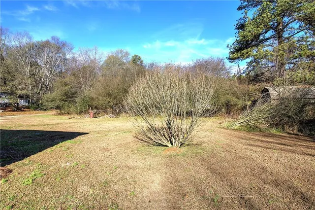 a view of a yard with trees