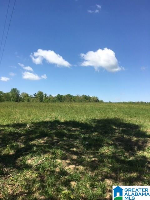 106 County Road, Unit 49836 Mentone, AL 35984 - Photo 11 of 17