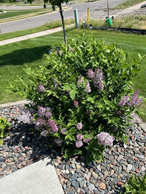 14971 Jade Street Becker, MN 55308 - Photo 22 of 27