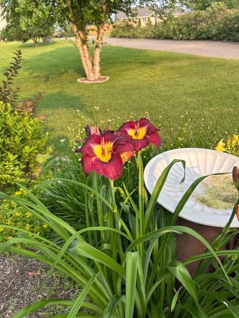 14971 Jade Street Becker, MN 55308 - Photo 24 of 27