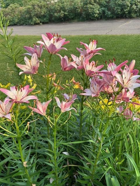 14971 Jade Street Becker, MN 55308 - Photo 25 of 27
