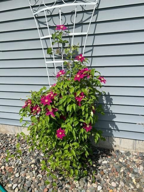 14971 Jade Street Becker, MN 55308 - Photo 26 of 27