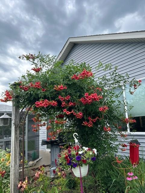 14971 Jade Street Becker, MN 55308 - Photo 27 of 27