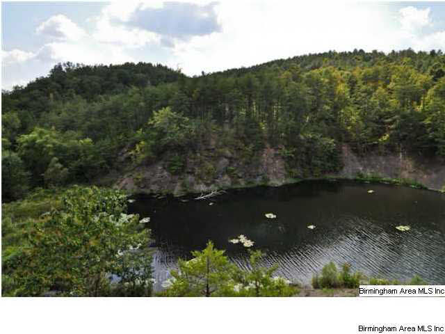 8442 Groundhog Road, Unit 225 AC Adger, AL 35006 - Photo 12 of 23