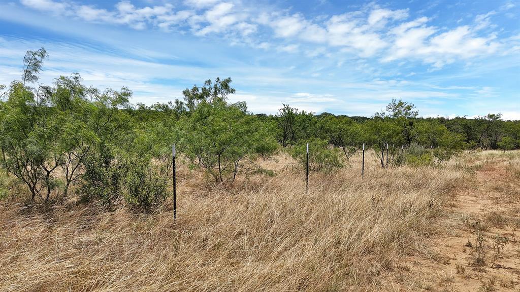 136 County Road 136, Unit 59 Ranger, TX 76470 - Photo 7 of 23