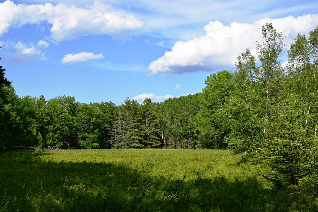 38 Dwelly Point Road Franklin, ME 04634 - Photo 5 of 10 L 5