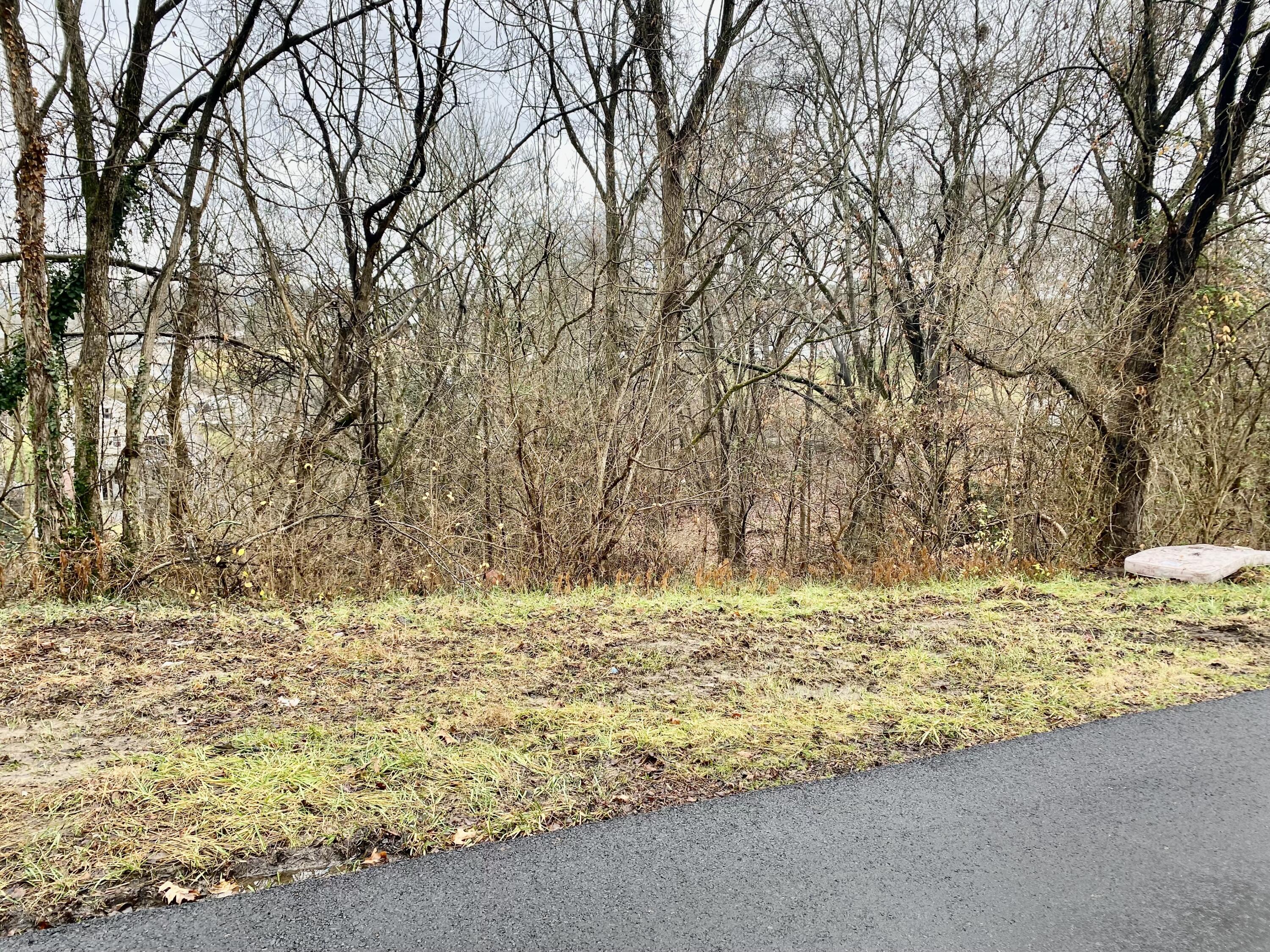 Tbd Reedy Creek Road Kingsport, TN 37664 - Photo 2 of 4 reedy 2