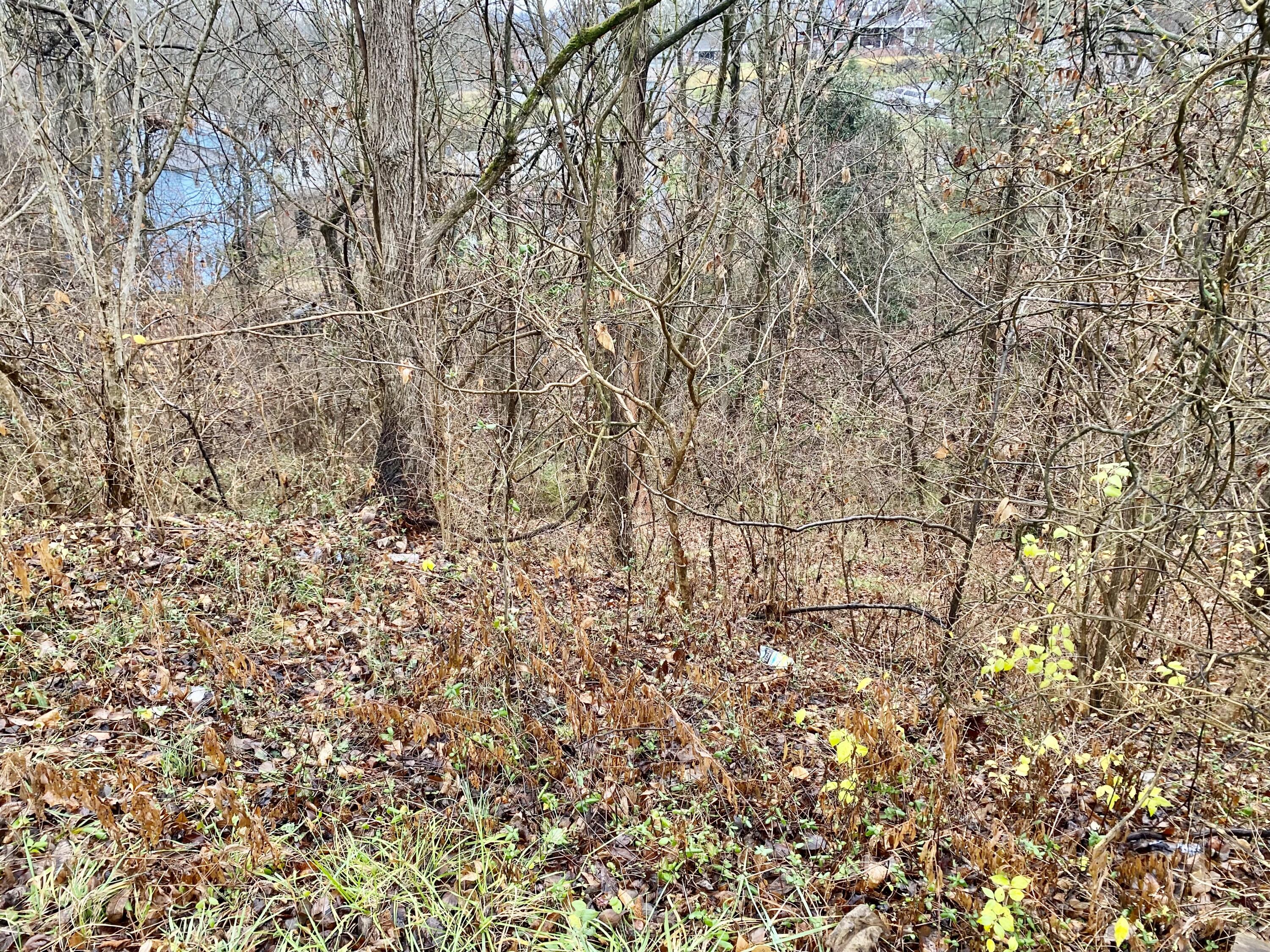 Tbd Reedy Creek Road Kingsport, TN 37664 - Photo 3 of 4 reedy 3