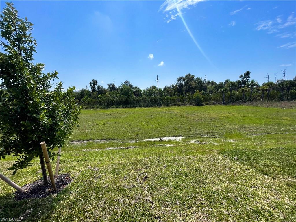1050 Enbrook Loop Naples, FL 34114 - Photo 24 of 29 a view of a field with an trees