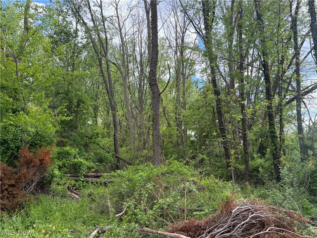 V/l Trenton Road Akron, OH 44312 - Photo 2 of 2 Gallery Image 2
